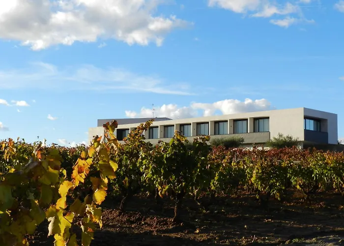 Hotel-Bodega Finca de Los Arandinos