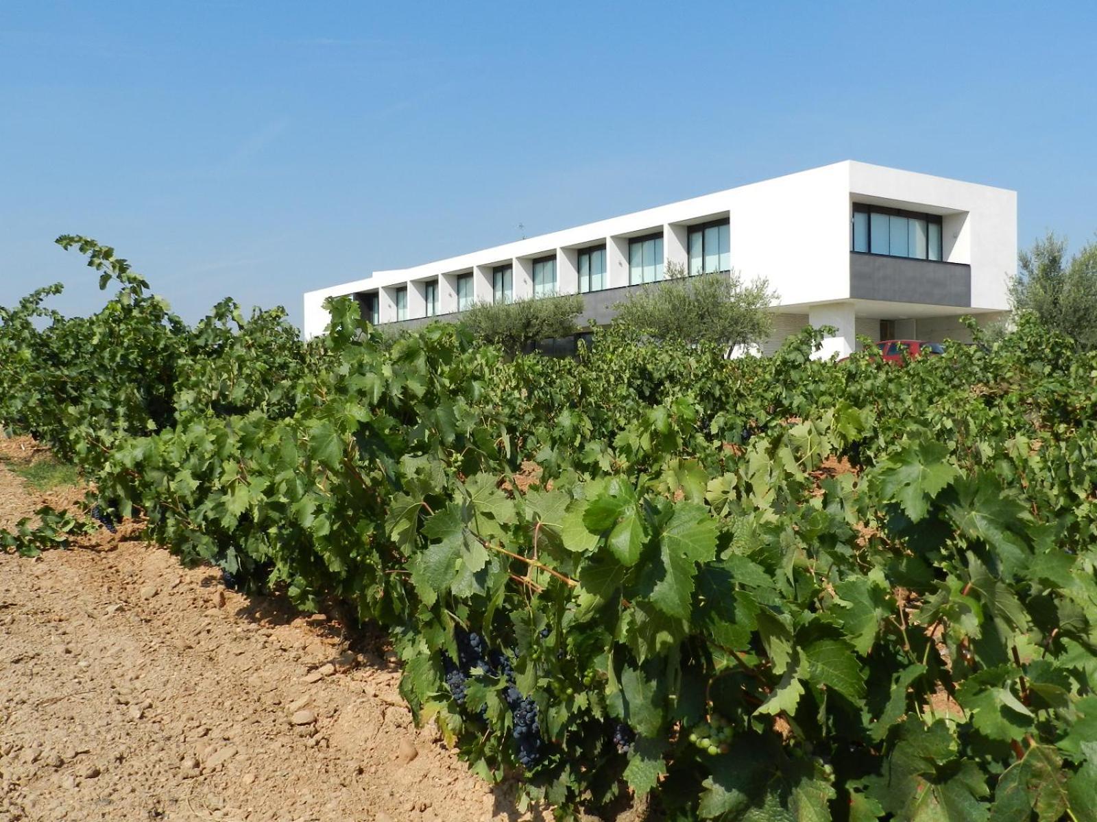 Hotel-bodega De Arandinos Hotel 4*
