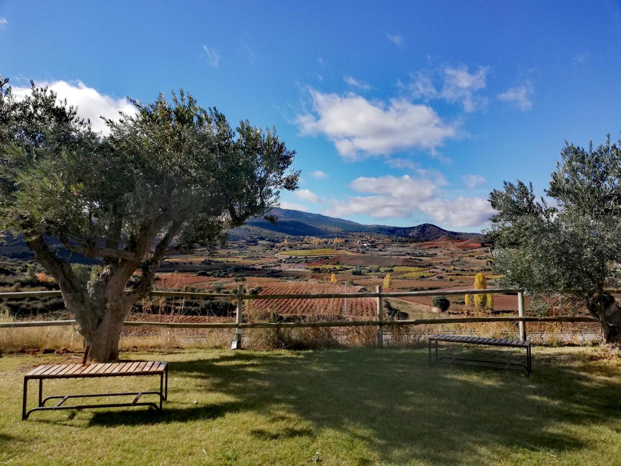 Hotel Hotel-bodega De Arandinos Entrena