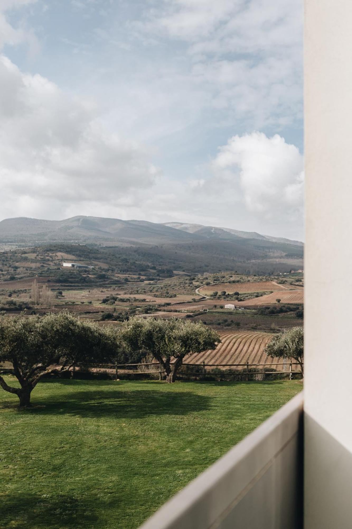 Hotel-bodega De Arandinos Entrena