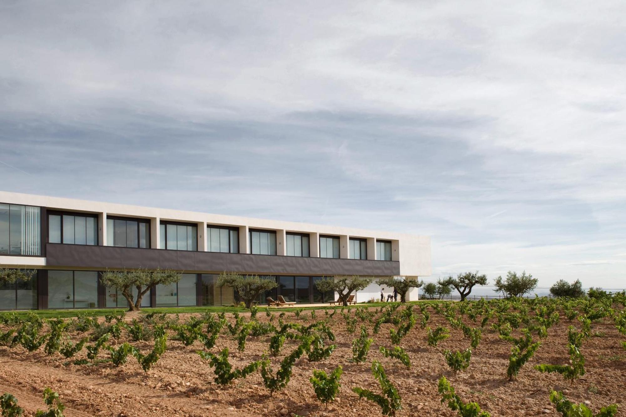 Hotel Hotel-bodega De Arandinos 4*