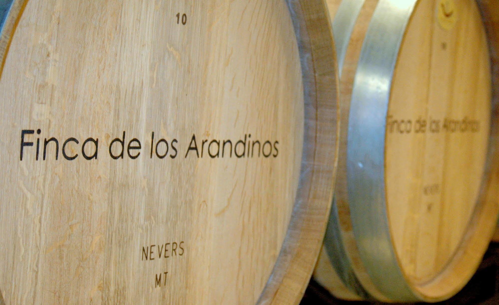 Hotel-bodega De Arandinos Entrena